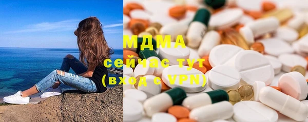 шишки Надым