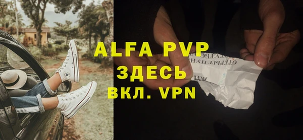 шишки Надым