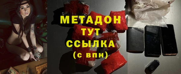 индика Алагир