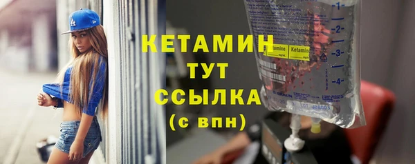 шишки Надым