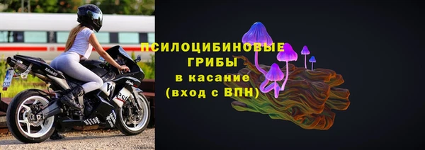 шишки Надым