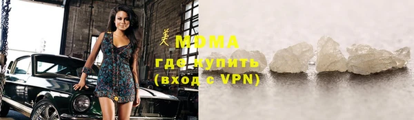 шишки Надым