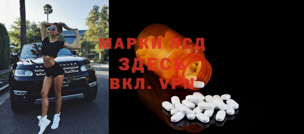 шишки Надым
