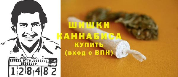 шишки Надым