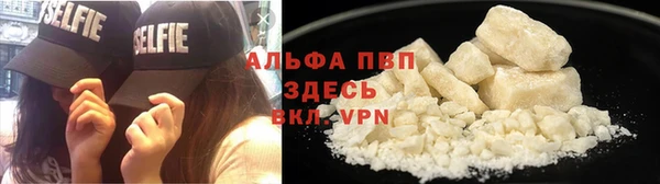 шишки Надым