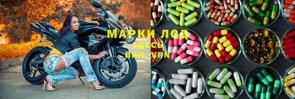 шишки Надым