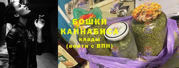шишки Надым