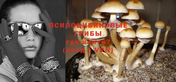 дживик Наволоки