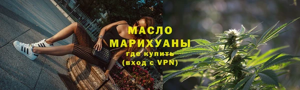 шишки Надым