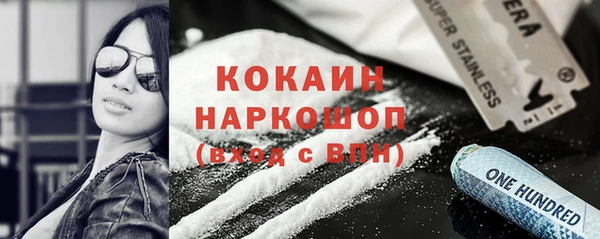 шишки Надым