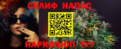 стаф Аша