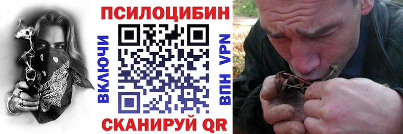 Псилоцибиновые грибы GOLDEN TEACHER  где купить наркотик  мега как войти  Балашиха 