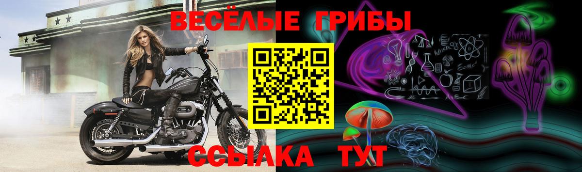 Гашиш  Балашиха  Меф МЯУ МЯУ кристаллы  Вход с VPN  Каннабис  Alpha-PVP СК  
